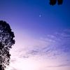rvannn_5