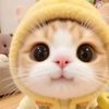 pufls_