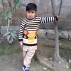 mashalkhan5558