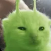 rekawin