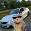 ha_mo_top_1