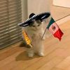 el_diego016