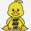 acid_duck_life