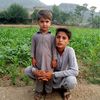 usermehran123