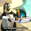 shwuw8wj1