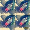 johanbarry0