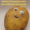 thisuserhatemonday