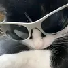 itsyour_boi_marino