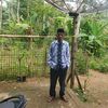 SULIS JLITHENG