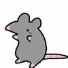 payihpro