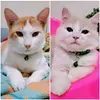 chika__chiko