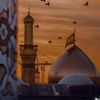 syedmashdi5