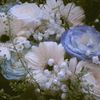 putripuspasrn