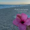 ramatoulayeb28