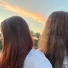 anixrr6