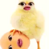 _slowsnow_