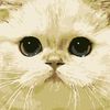 awiam3