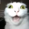 xokito69