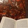 reading._lxver