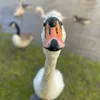 i_dont_exist_111222