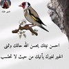 gadura_6872