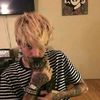 .danns7