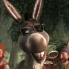 hi_lls_you