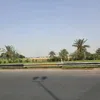 farahsaeed3987