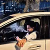 saryas_avalon