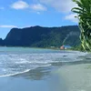 bobalattve_46