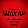 maxhp_tel63700680