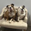 berk_and_bent