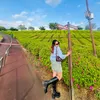 sarishma50