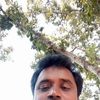 tamizuddin665