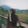 ika.cntip