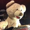 teddybearorchestra