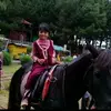 adel.www.tiktok