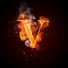 dy3vqoy9m2t6