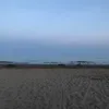 dielustige_13