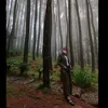 fruktosaa_0
