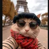 user_82730148