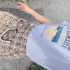 silxyii__