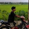 nandol1986ok
