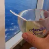 www.tiktok.commccc