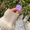 jana.donia7