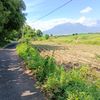akabaka81