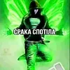 kiskader_42