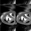sahaa_manehh1