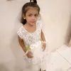 haya.collection0
