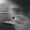 loe_____wyb